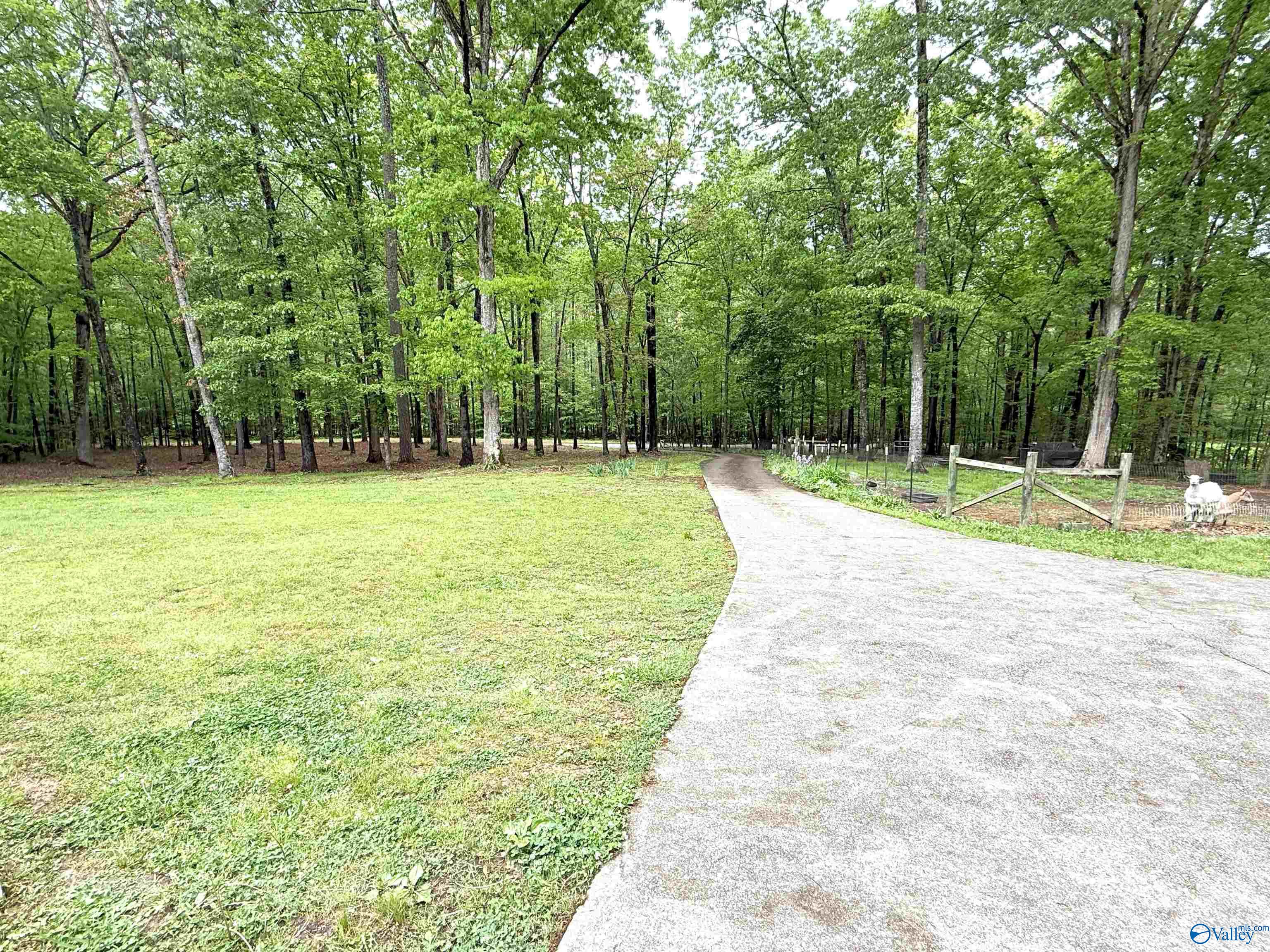 7668 Owls Hollow Road, Gadsden, Alabama image 5