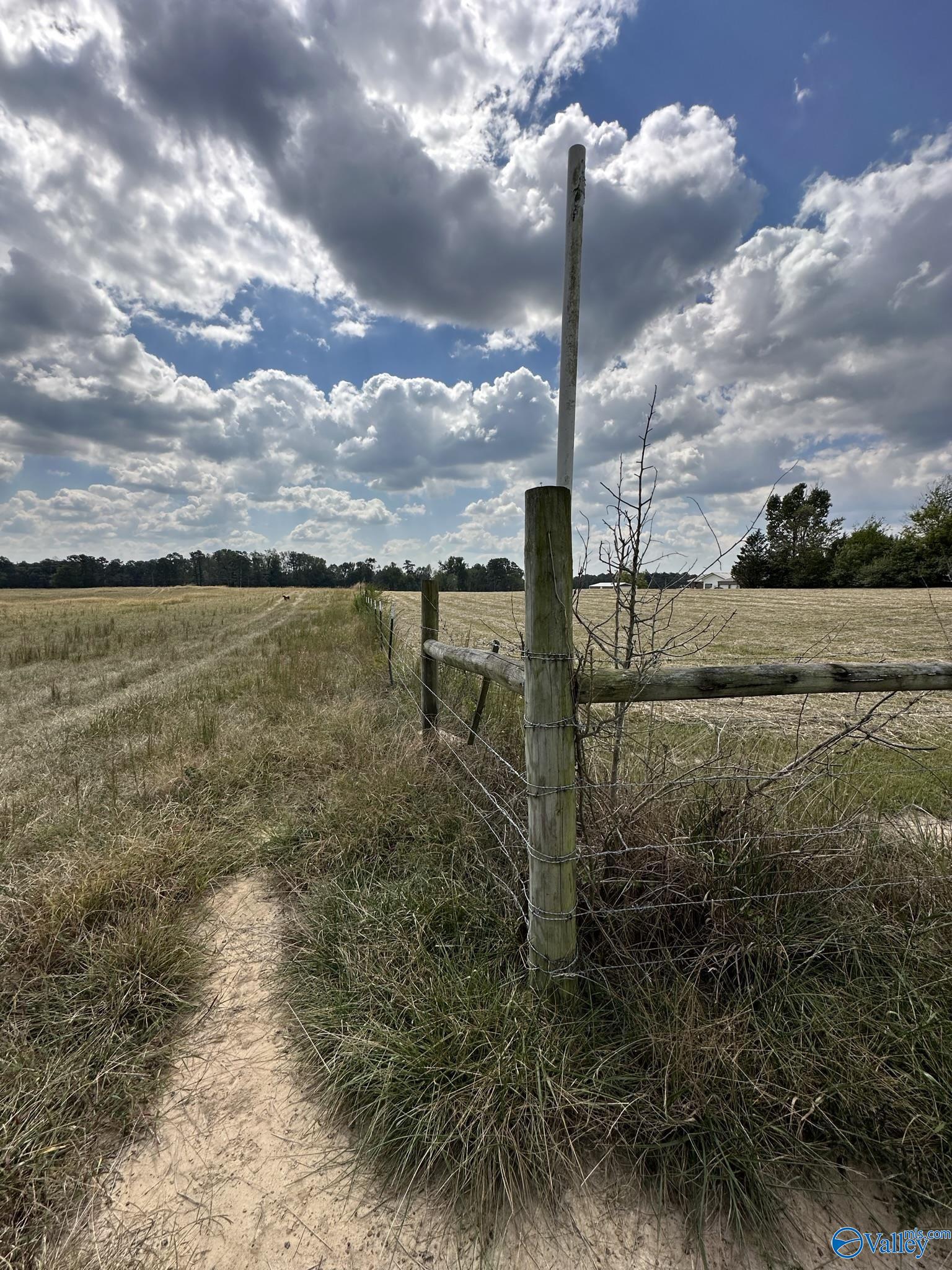 29 Acres Highway 71, Dutton, Alabama image 18