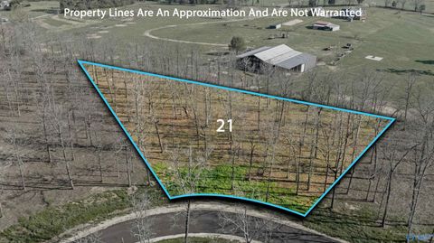 Lot 21 Garrett Street Rainsville AL 35986