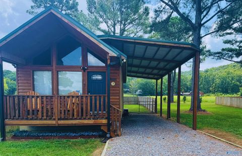 Photo of 1324 Murphy Hill Road, Langston, AL 35755 (MLS # 21909543)