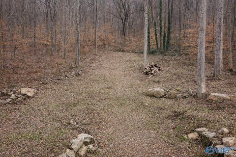 Vacant Land For Sale - 3.7 ACRES Wyeth Drive<br/> Guntersville, AL 35976