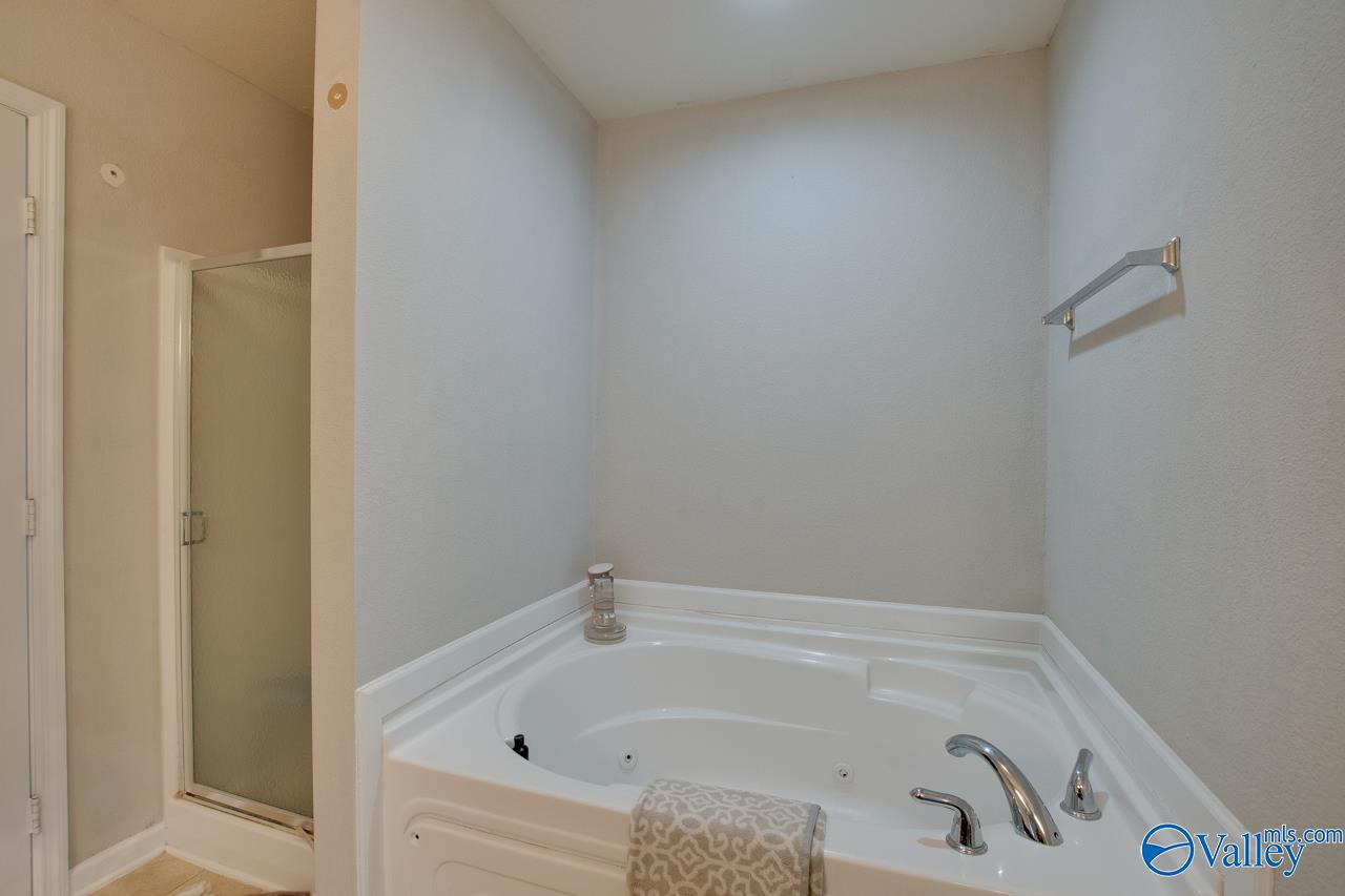 100 Firefly Lane, Owens Cross Roads, Alabama image 20