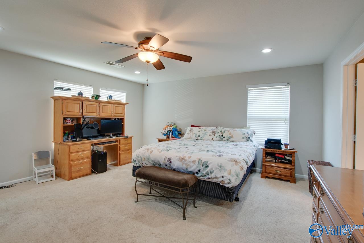100 Firefly Lane, Owens Cross Roads, Alabama image 18