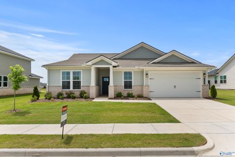 Homes For Sale - 21985 Huntington Pike<br/> Limestone County, Athens, AL 35613