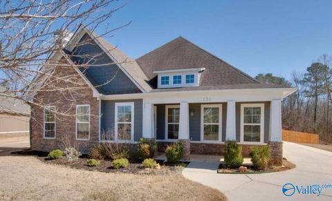 Photo of 230 Wolf Creek Trail SW, Huntsville, AL 35824 (MLS # 21919117)