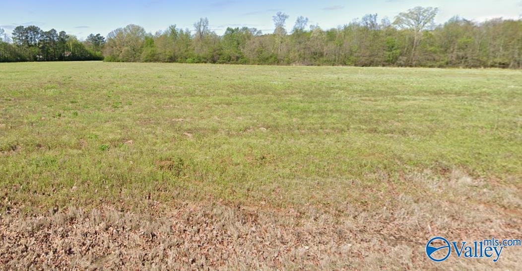 Tract 12 Edgewood Road, Athens, Alabama image 1