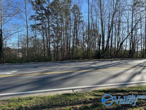Vacant Land For Sale - 2315 Alabama Highway 79<br/> Guntersville, AL 35976