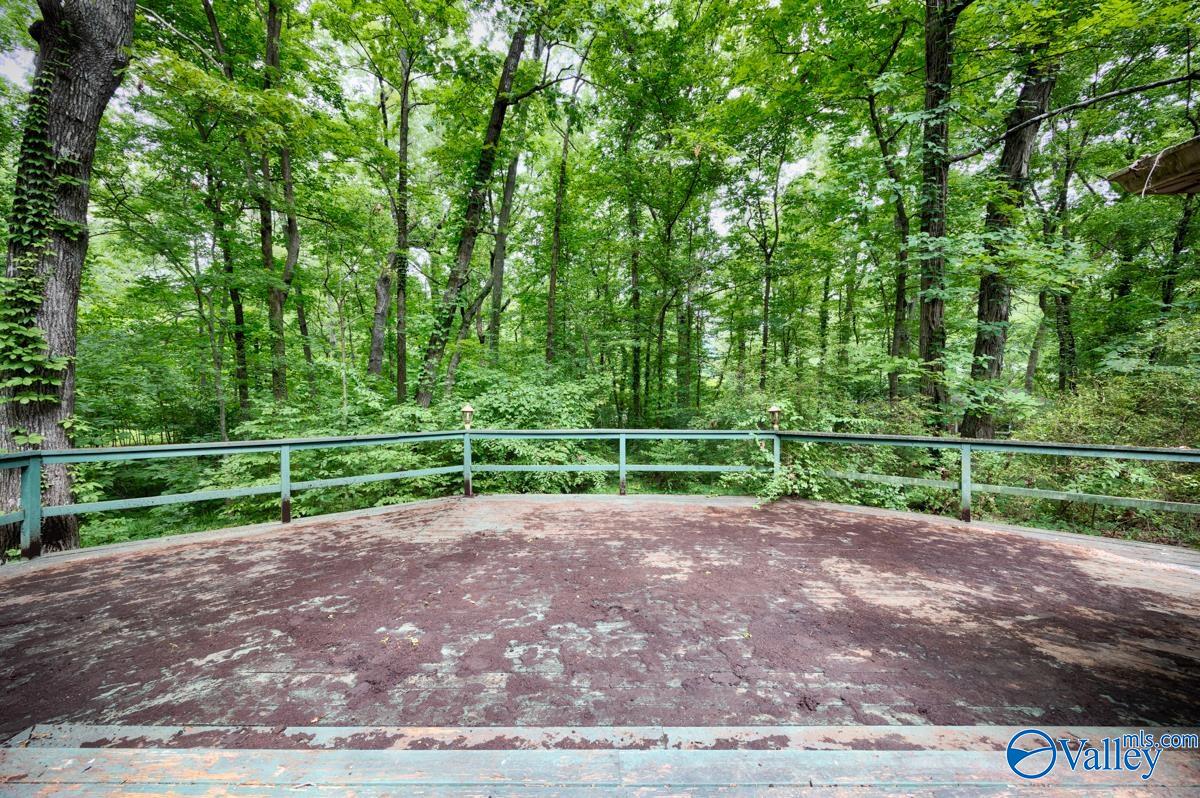 10115 SE Bluff Drive, Huntsville, Alabama image 6