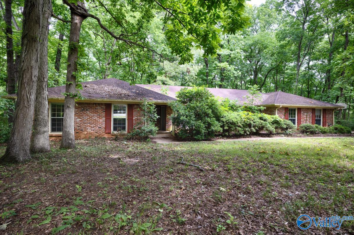 10115 SE Bluff Drive, Huntsville, Alabama image 1