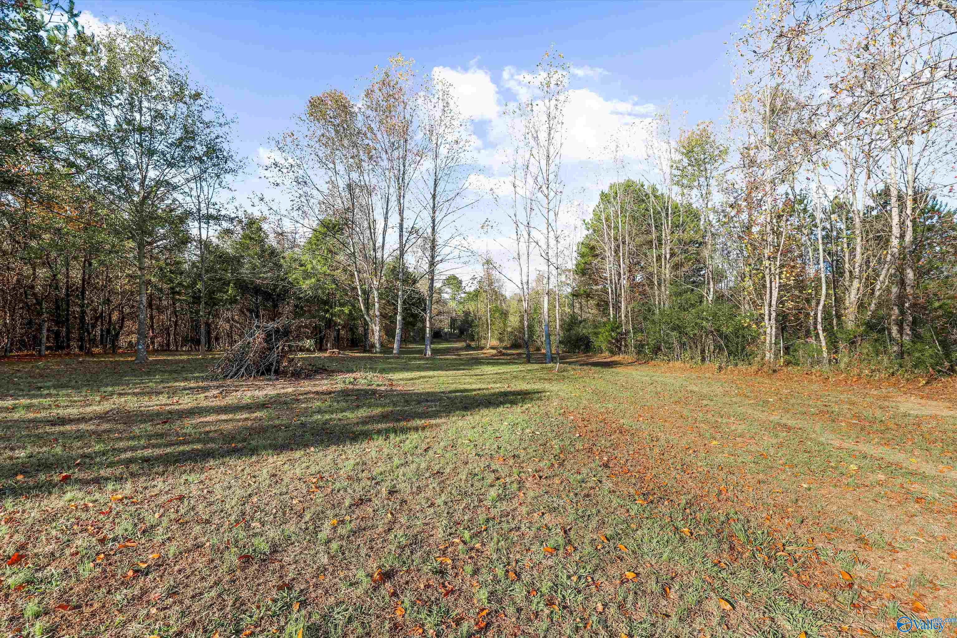 29315 Wooley Springs Road, Athens, Alabama image 22