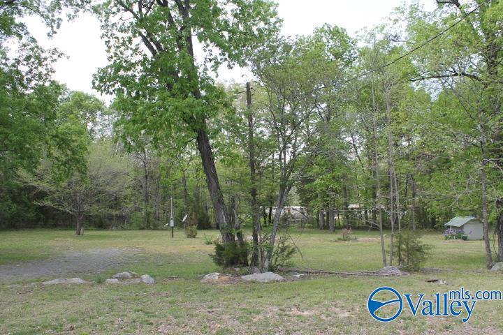 3128 County Road 51, Fort Payne, Alabama image 3
