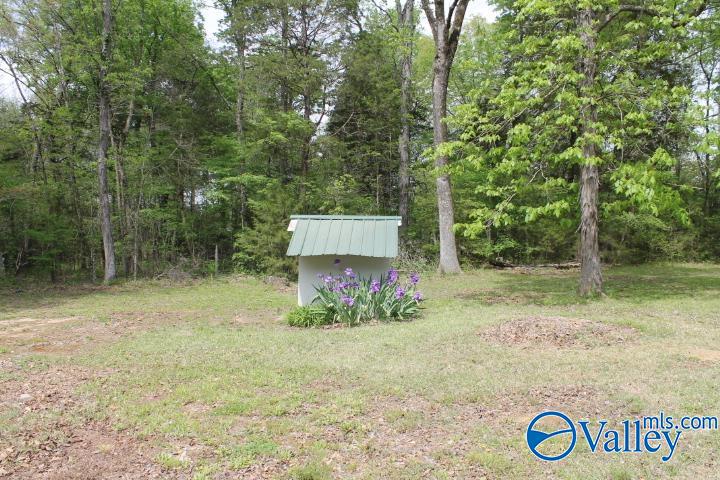 3128 County Road 51, Fort Payne, Alabama image 2