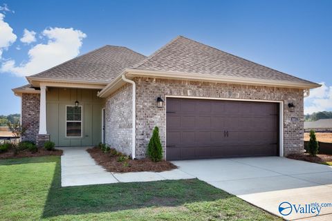 Homes For Sale - 17718 Chenin Blanc Place<br/> Limestone County, Athens, AL 35613