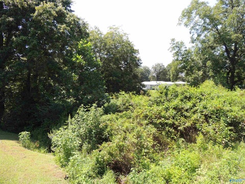 Vacant Land For Sale - .51 Gaines Street<br/> Crossville, AL 35962