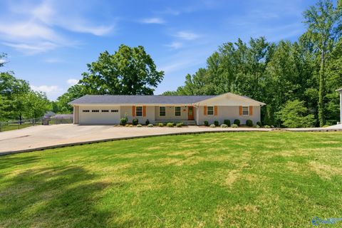 Photo of 205 Penny Lane NW, Russellville, AL 35653 (MLS # 21917505)
