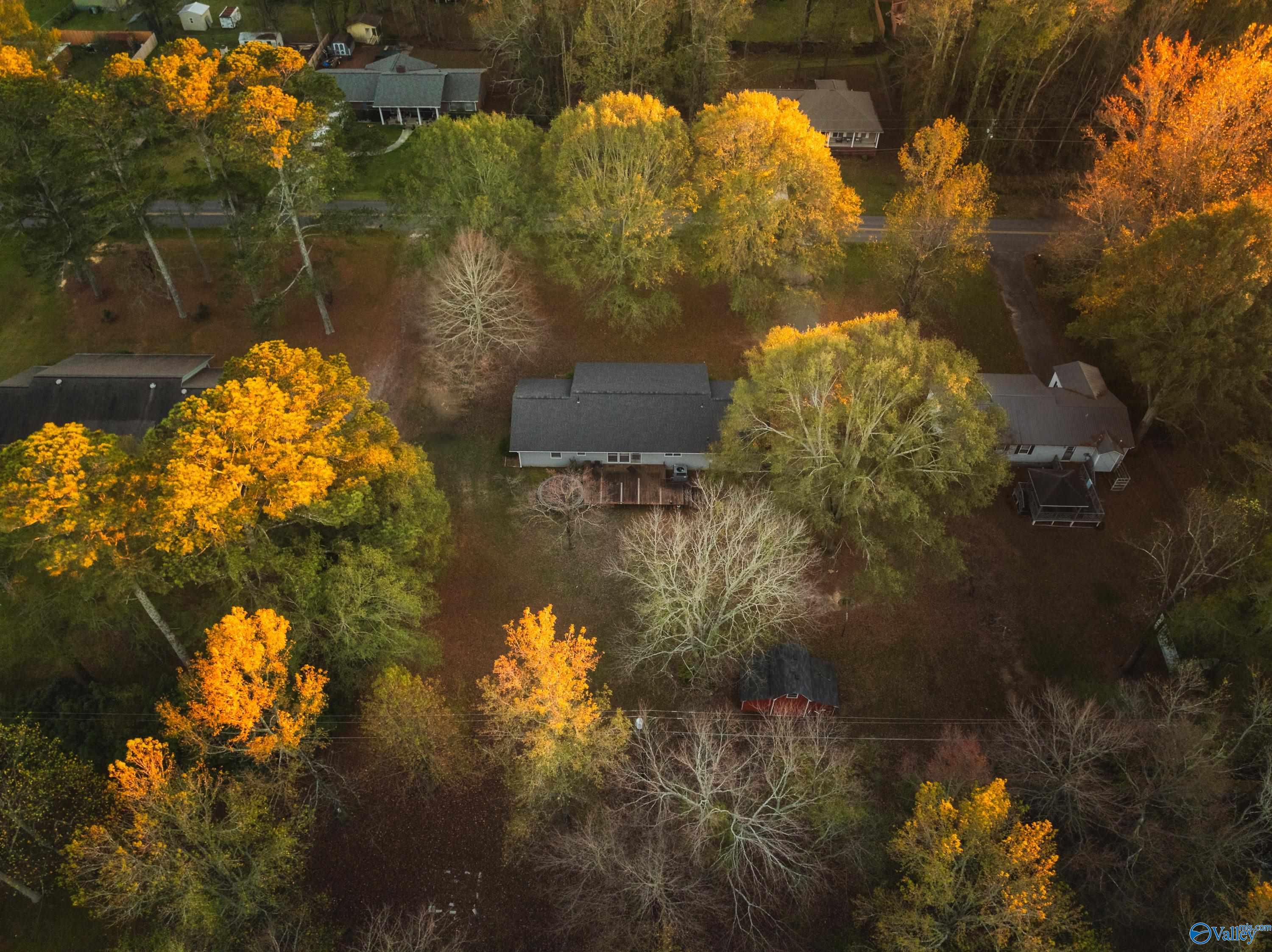 207 7th Avenue, Arab, Alabama image 8