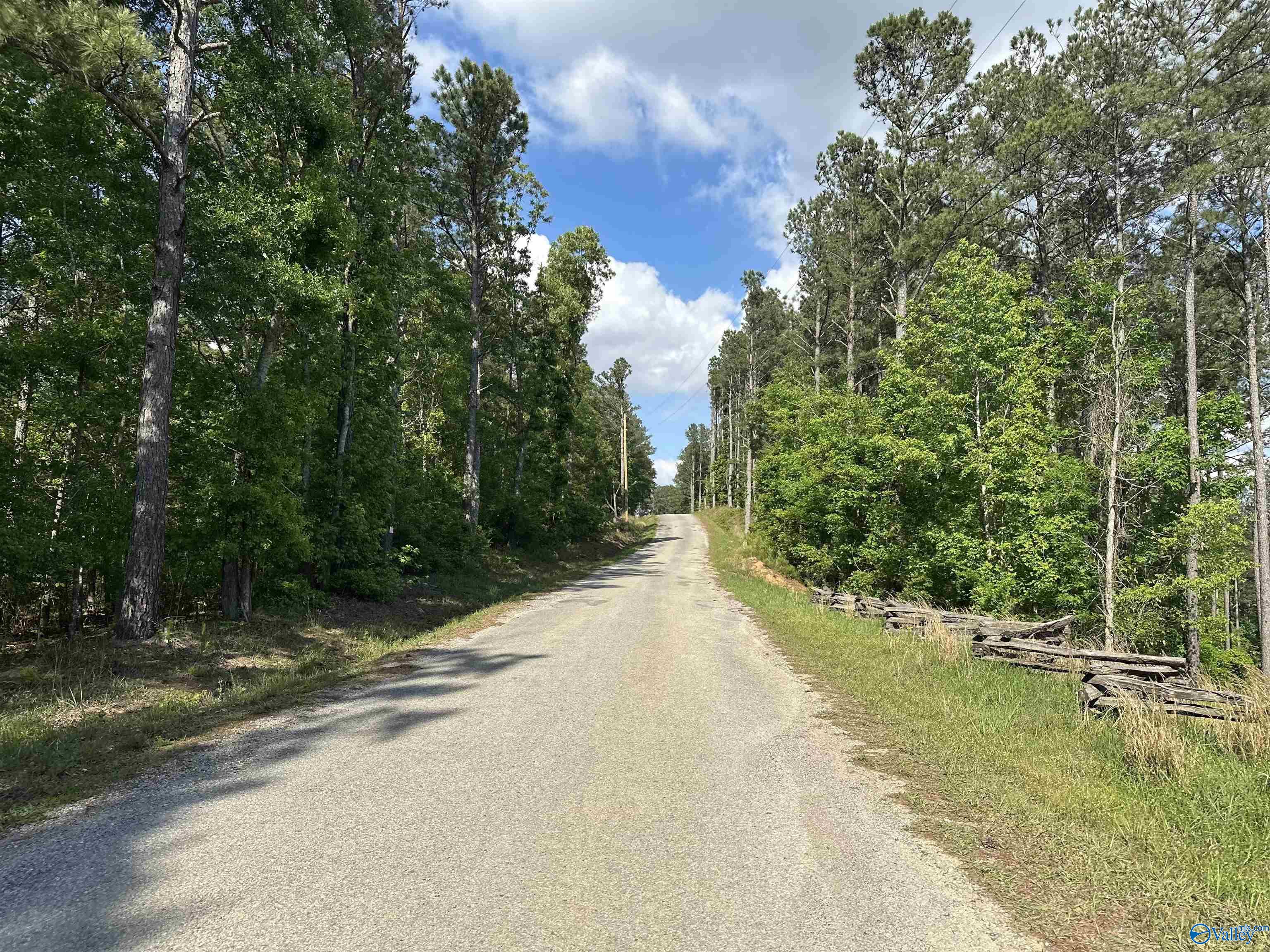 1725 County Road 182 #18, Cedar Bluff, Alabama image 16