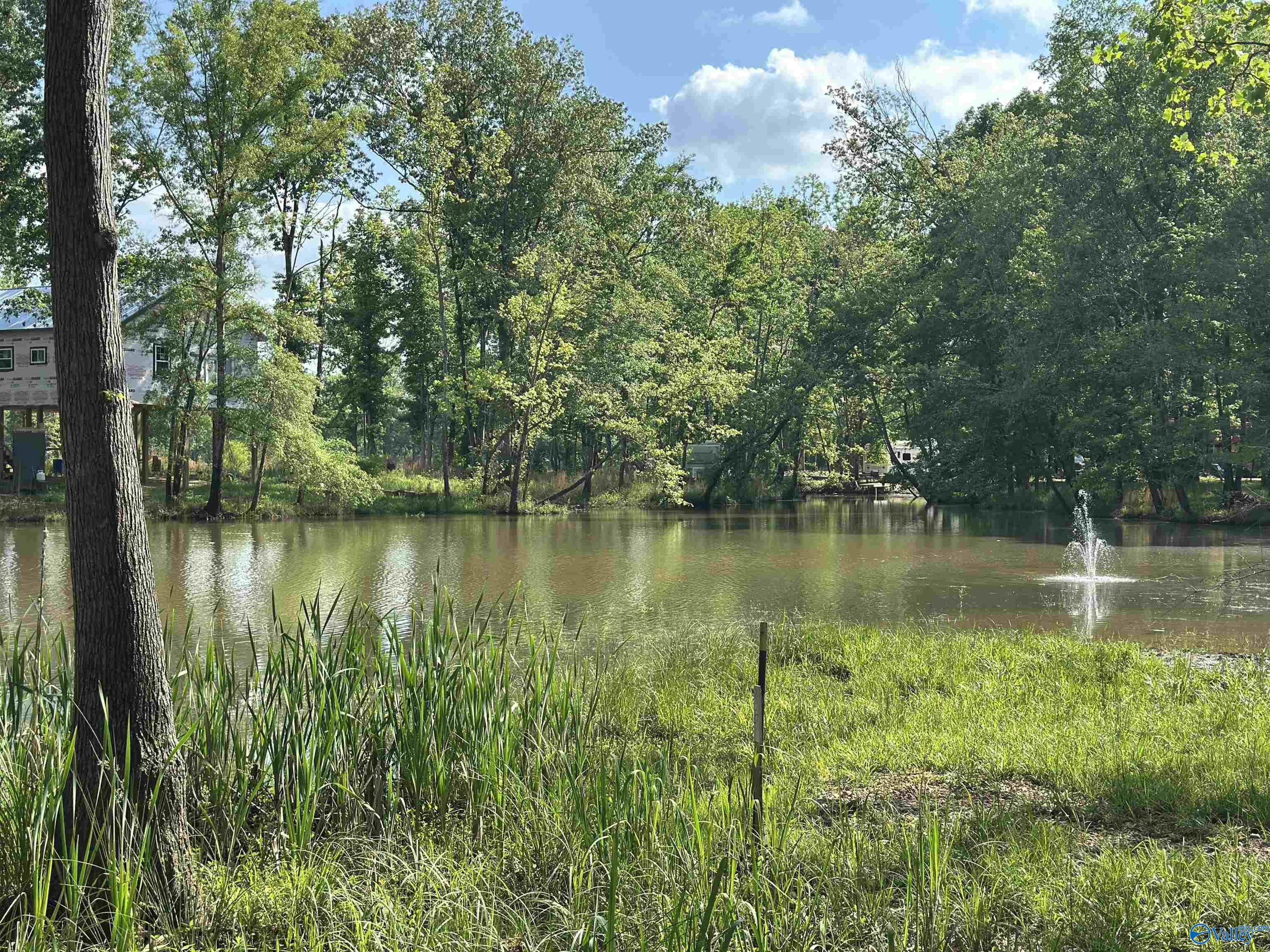 1725 County Road 182 #18, Cedar Bluff, Alabama image 1
