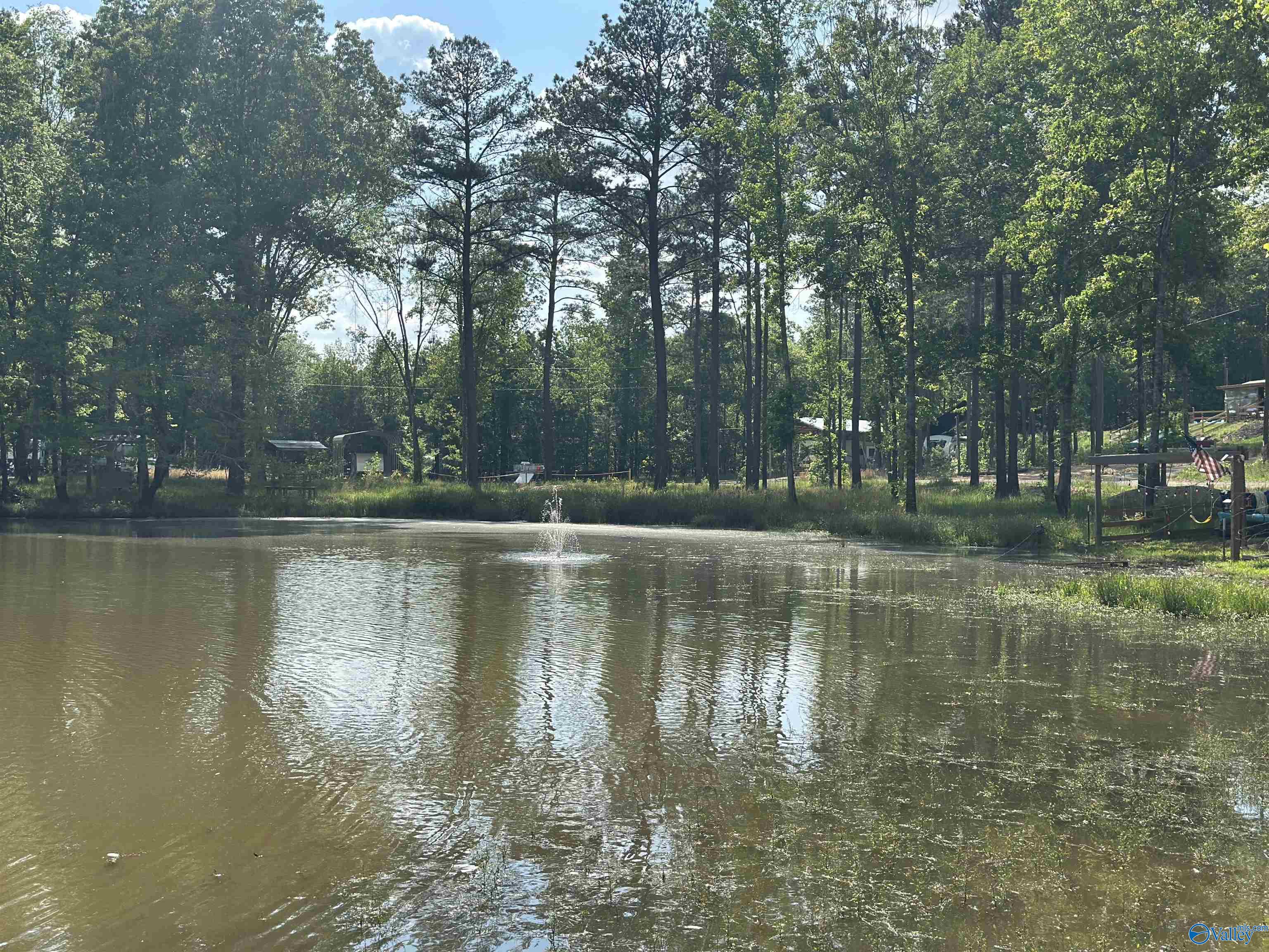 1725 County Road 182 #18, Cedar Bluff, Alabama image 4