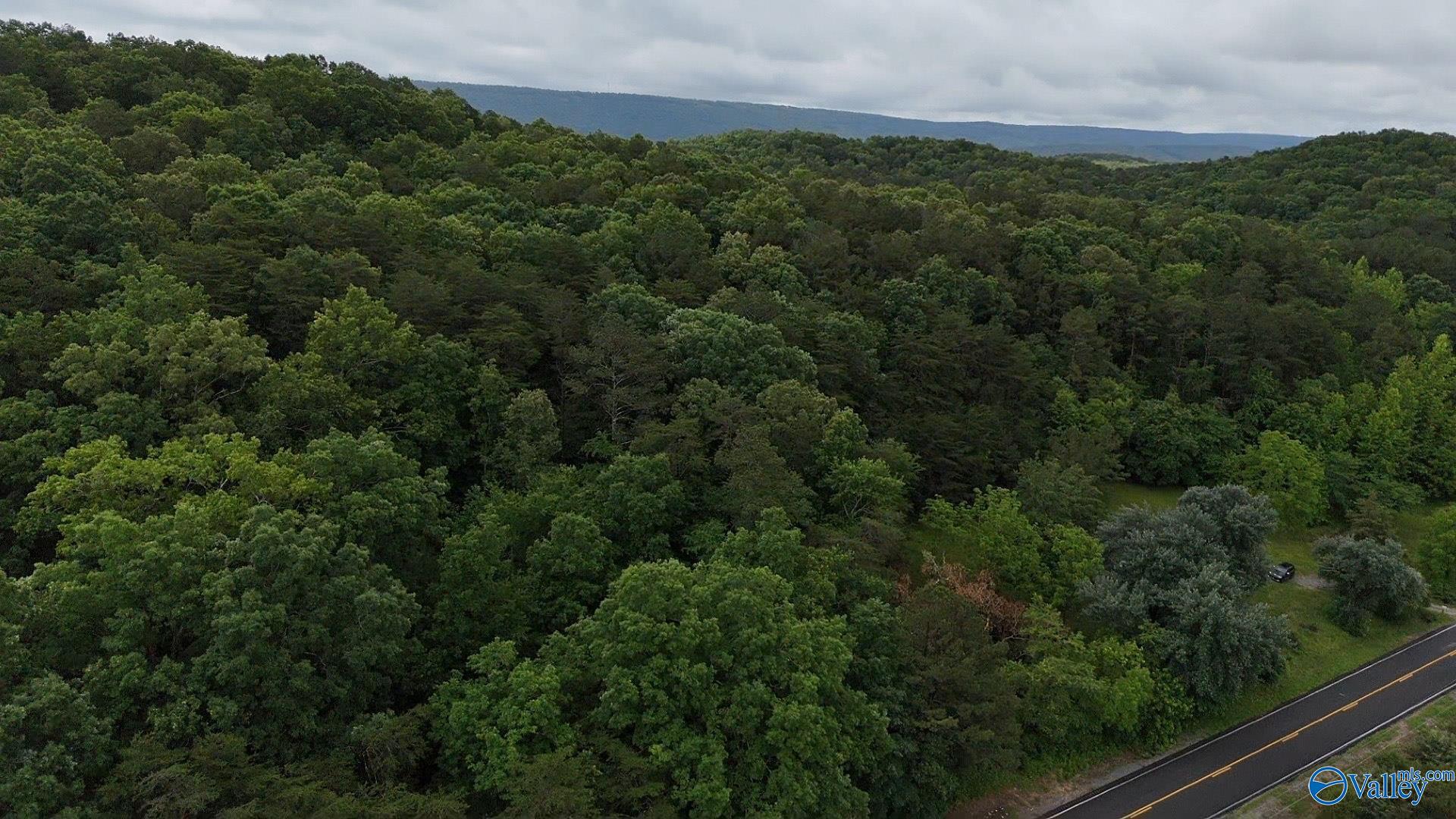 42584 Us Highway 11, Valley Head, Alabama image 6