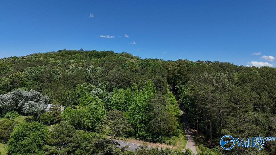 42584 Us Highway 11, Valley Head, Alabama image 1