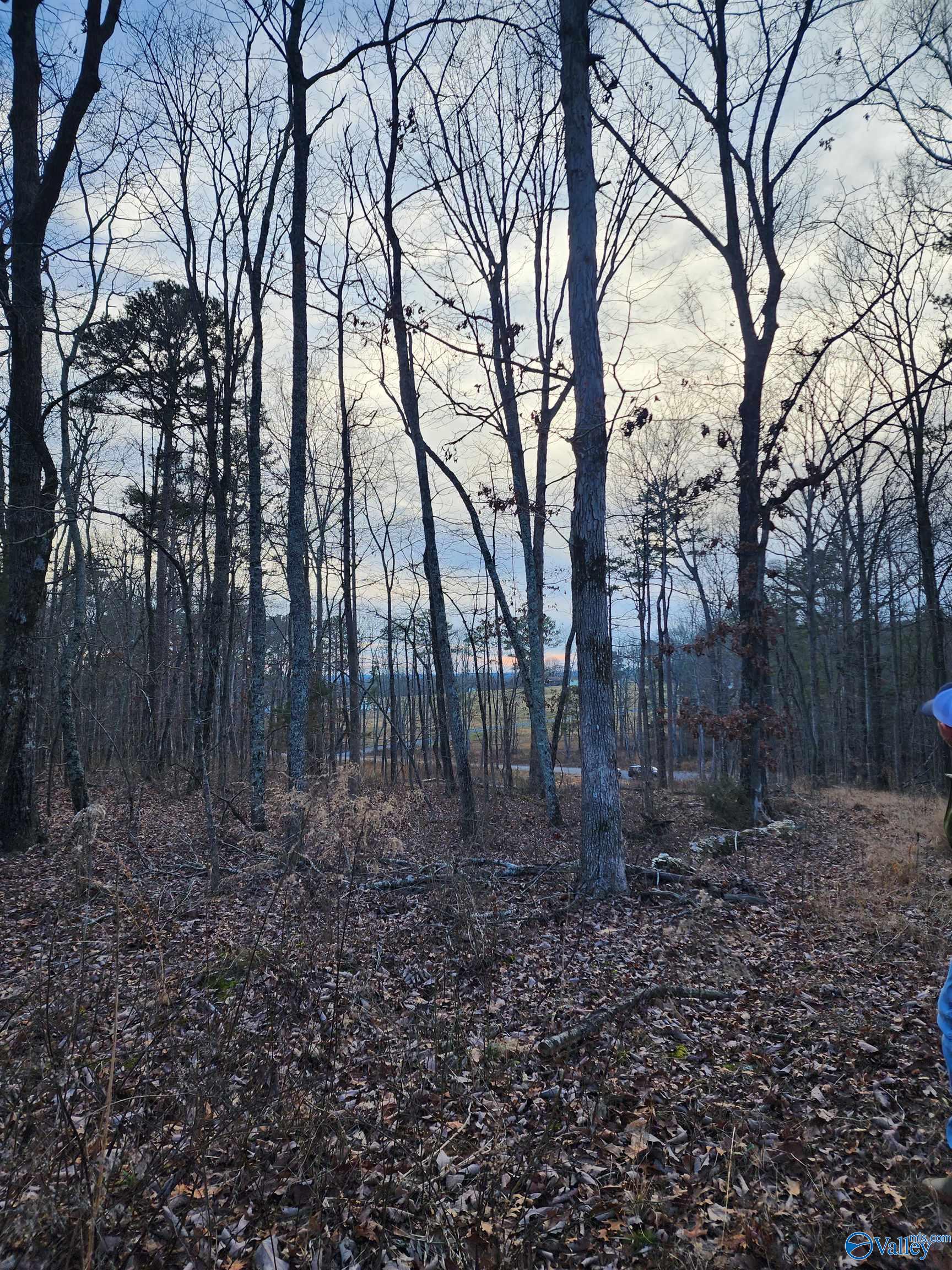 Lot 5 Lost Pond Road, Grant, Alabama image 2