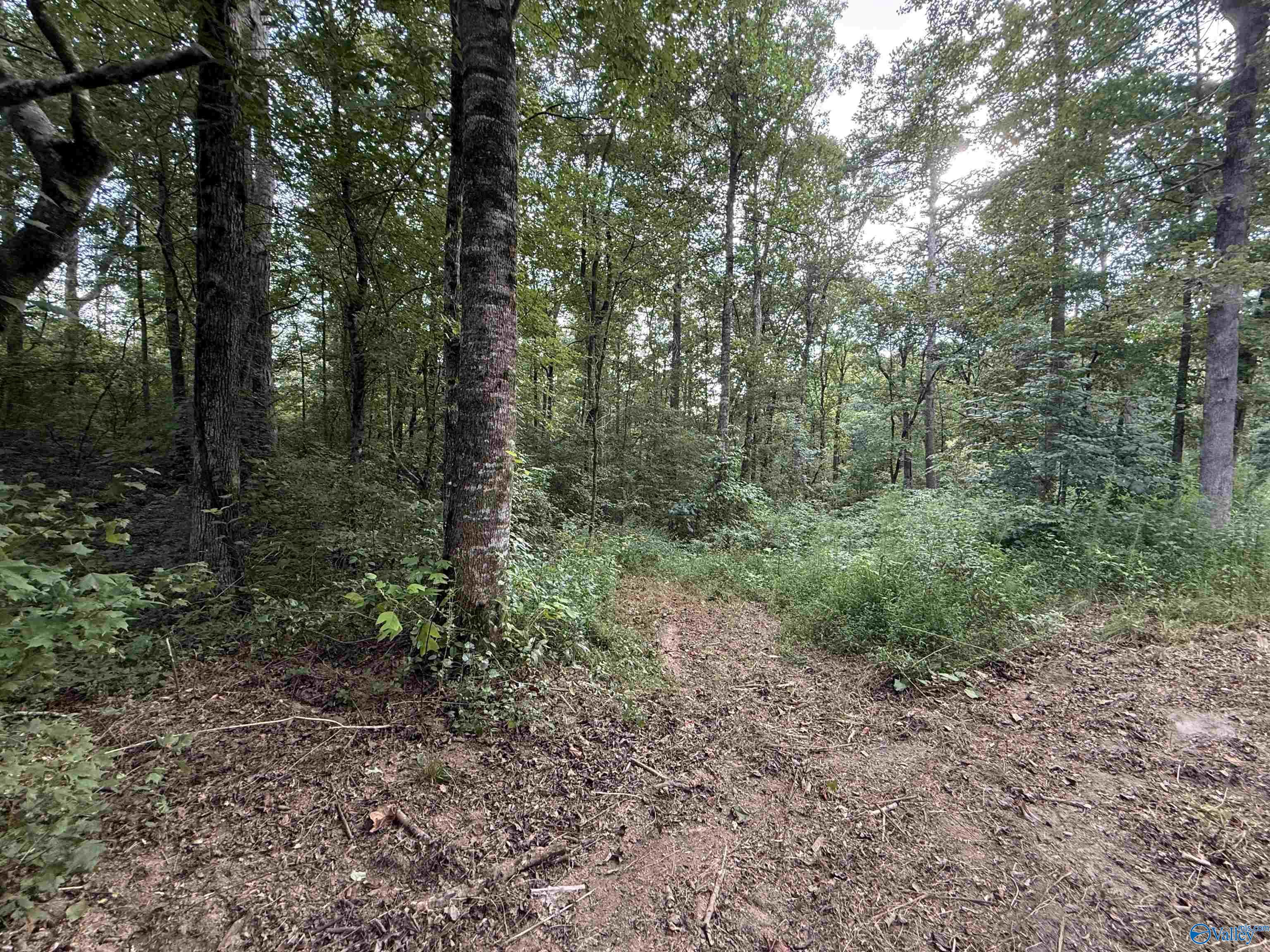 0.66AC County Road 1606