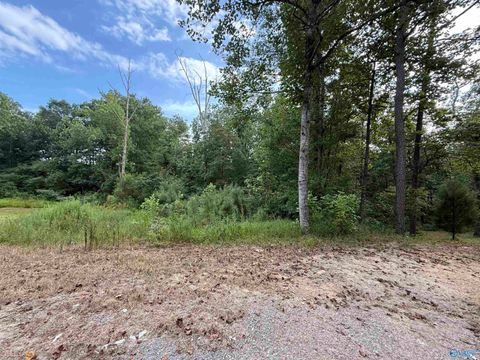 Vacant Land For Sale - 0.66 AC County Road 1606<br/> Cullman, AL 35058