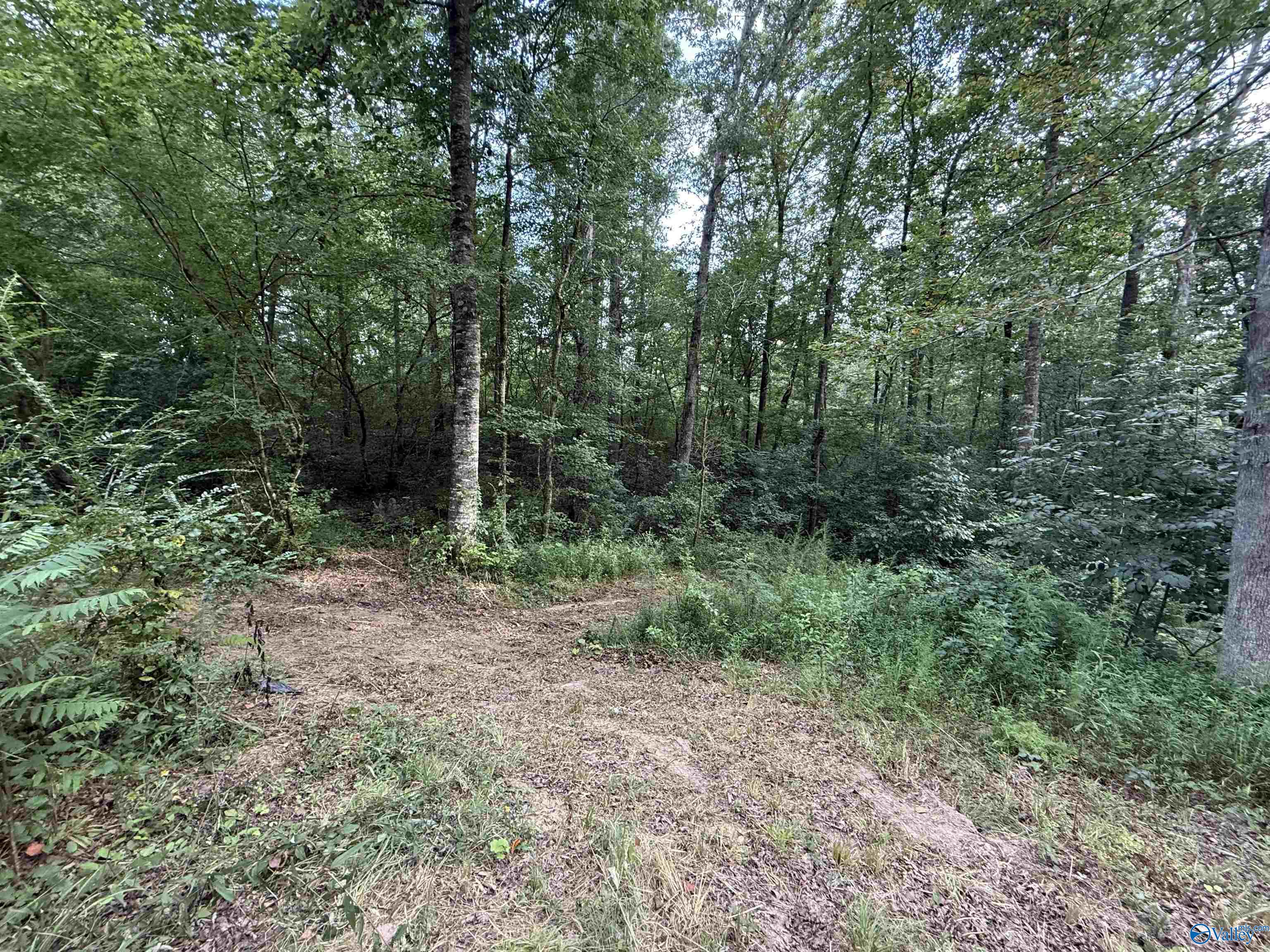 0.66AC County Road 1606