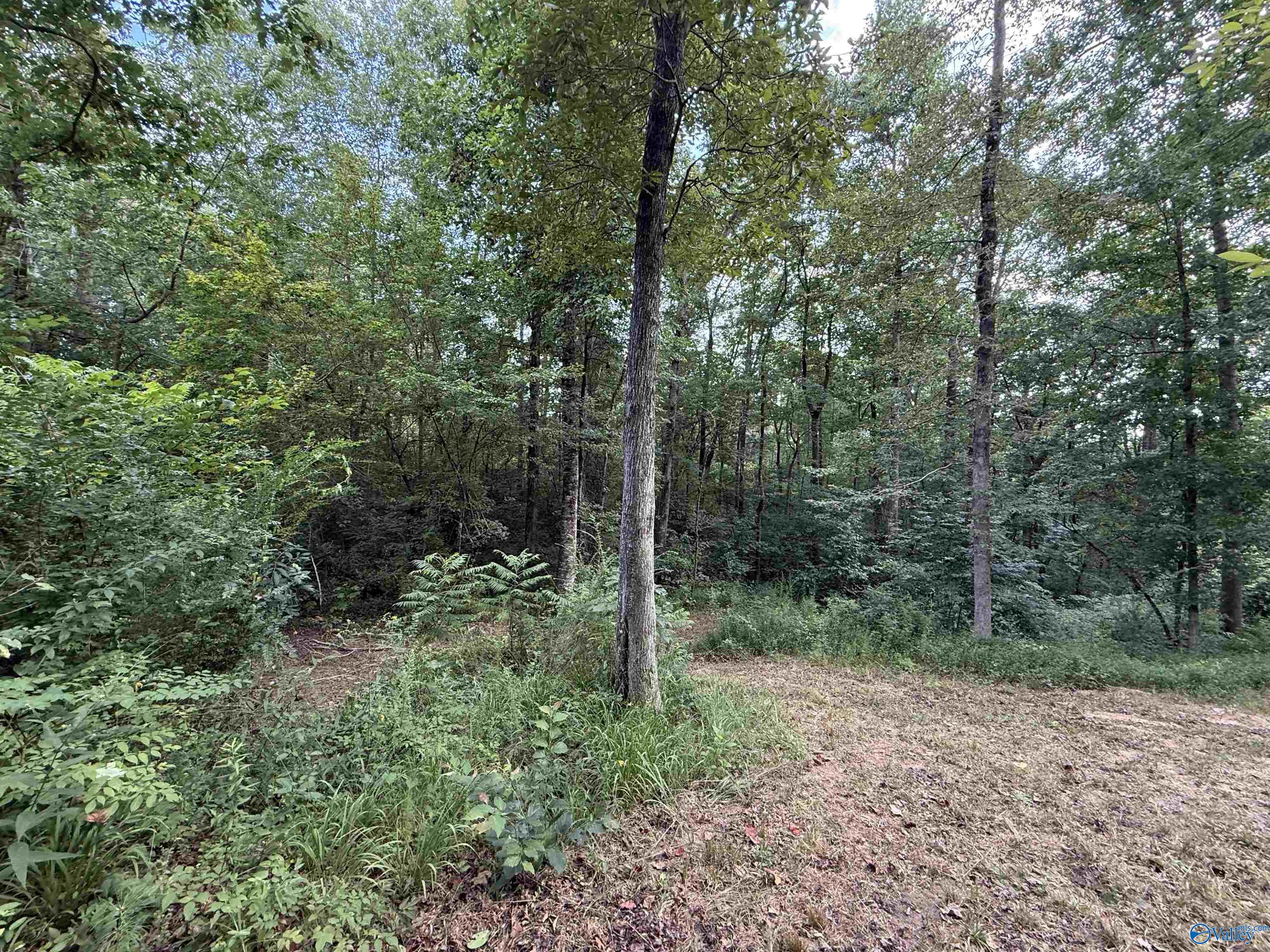 0.66AC County Road 1606