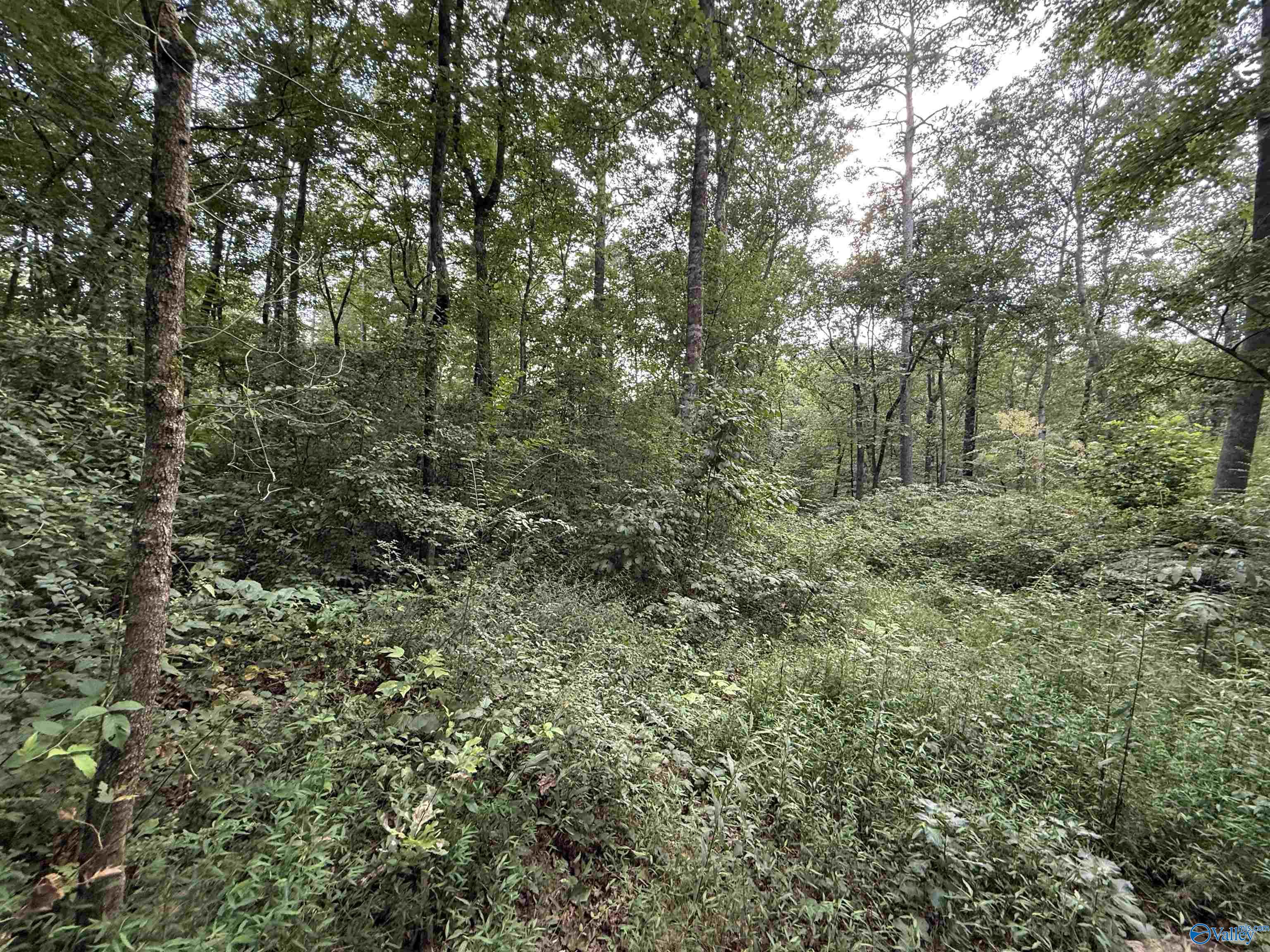 0.66AC County Road 1606