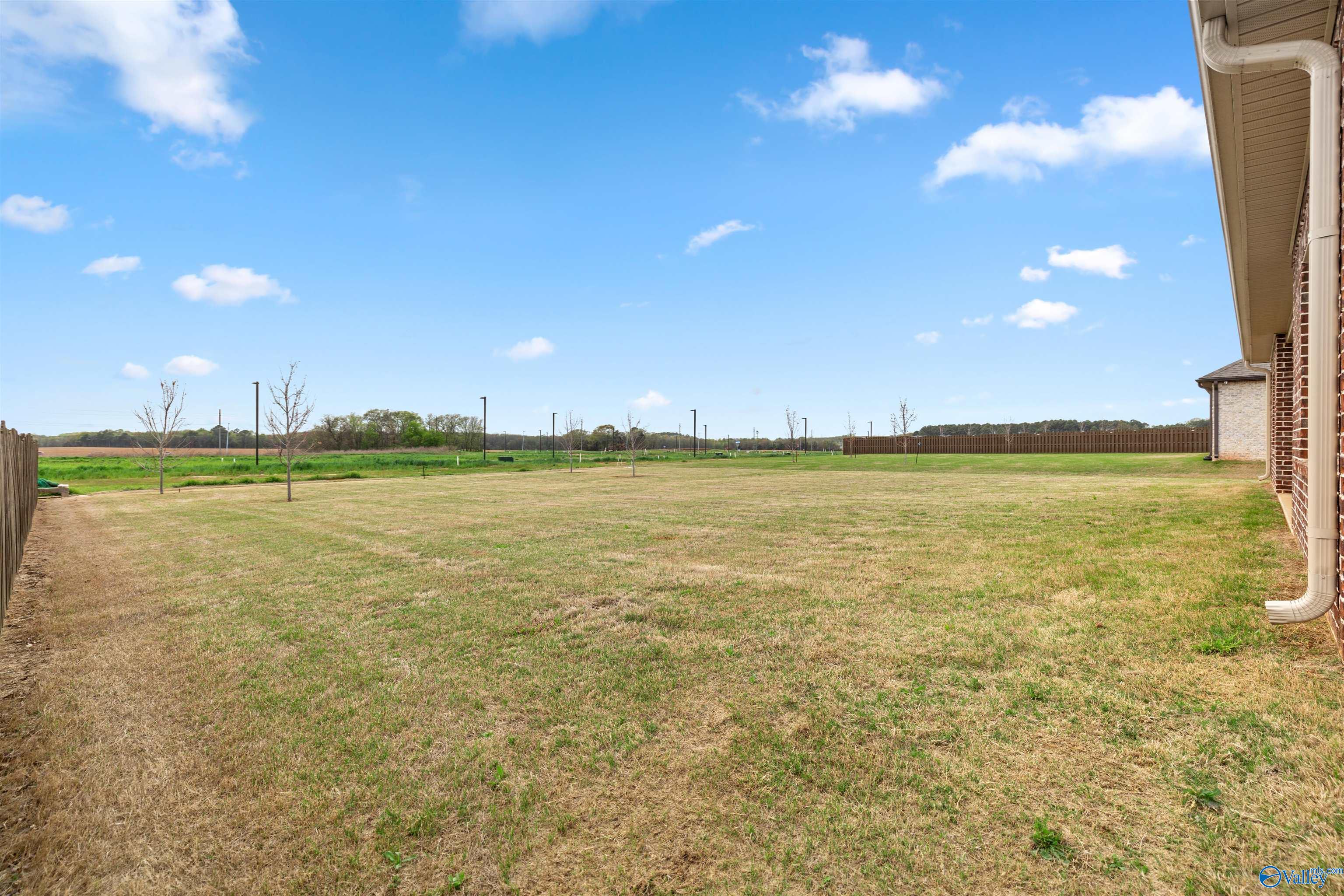 520 W West River Landing Blvd, Madison, Alabama image 29
