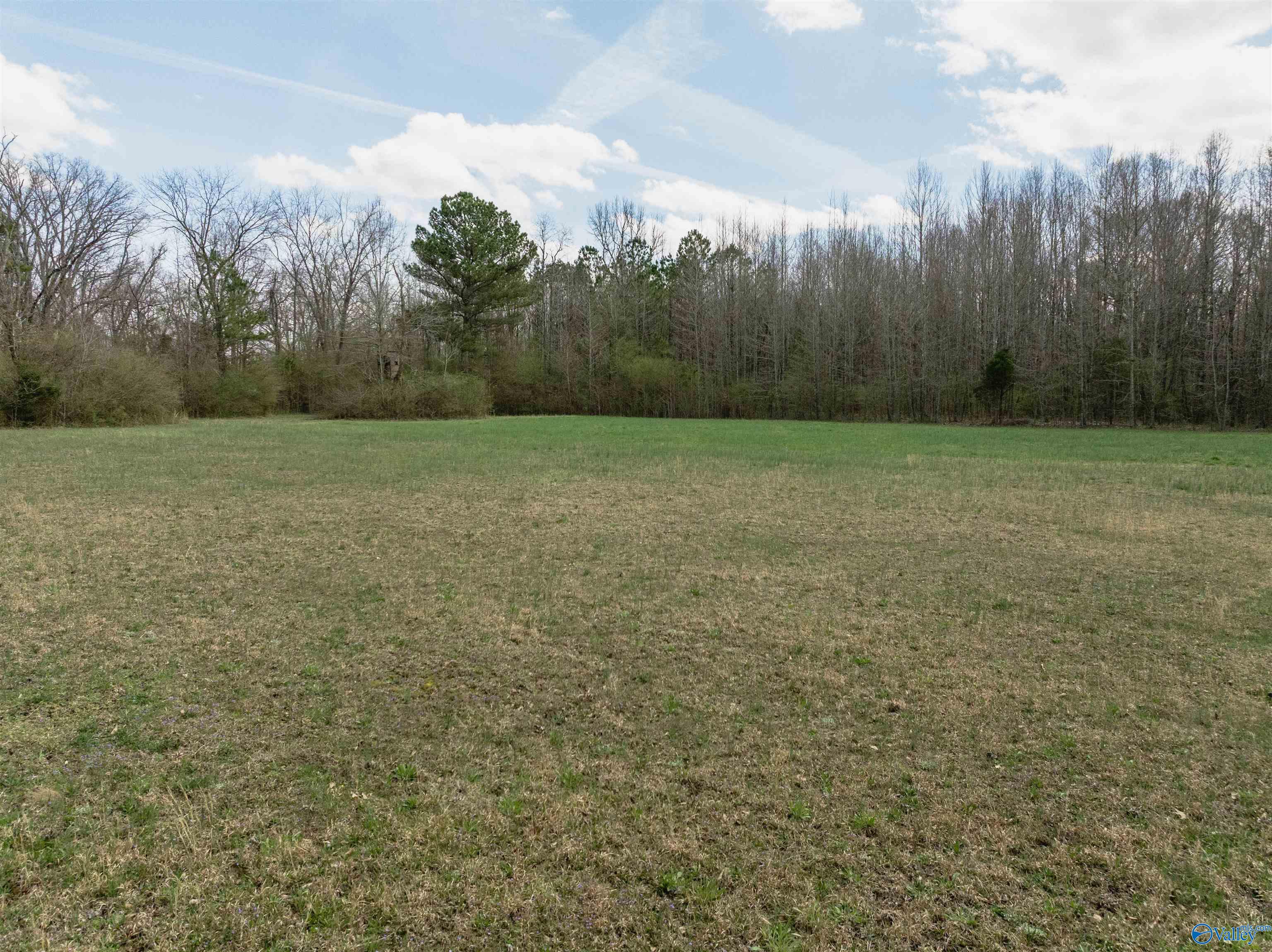 Land On Bobo Section Road, Hazel Green, Alabama image 2