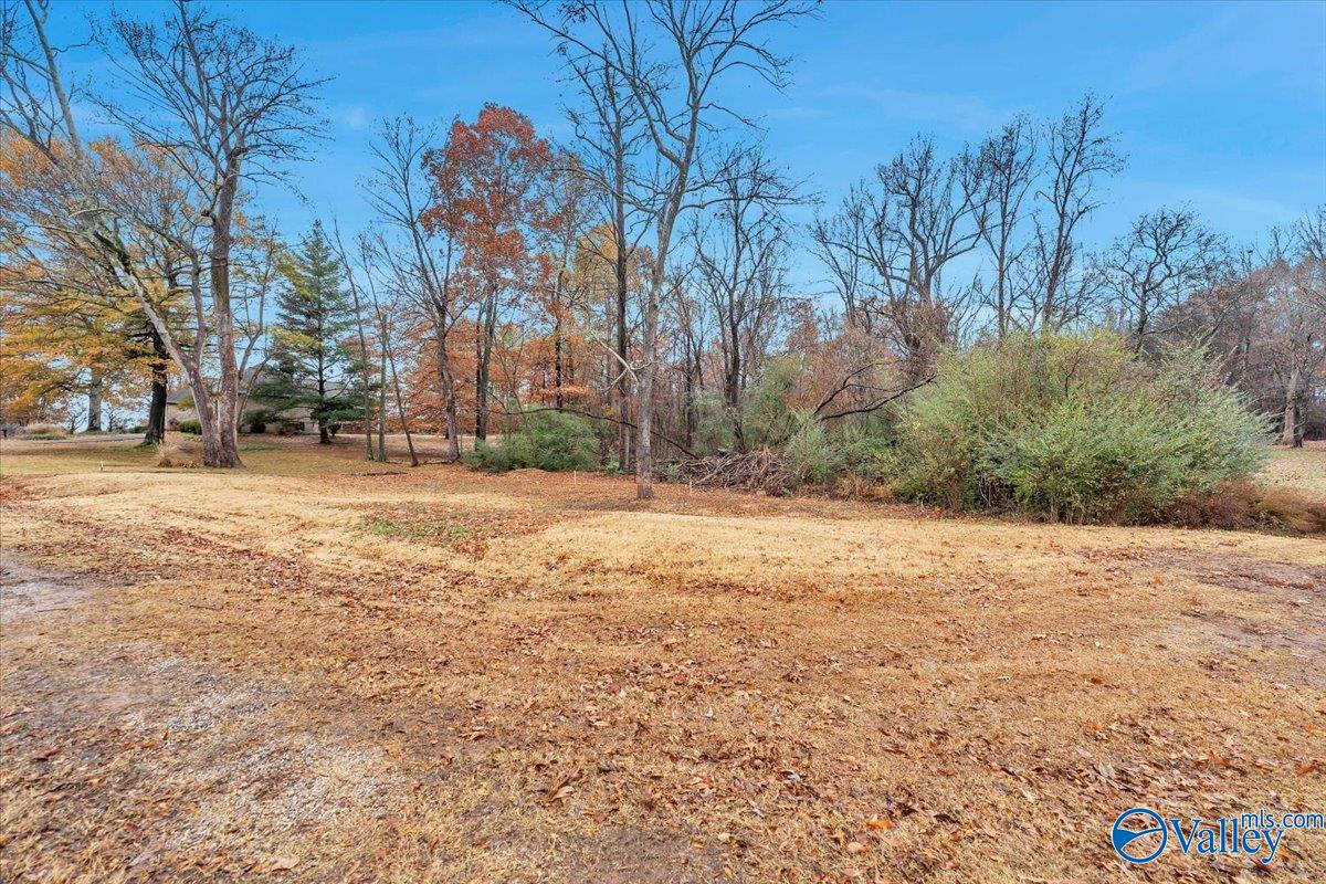 12725 Lookingbill Lane, Athens, Alabama image 12