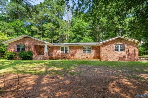 2810 Mountain View Drive Southside AL 35907