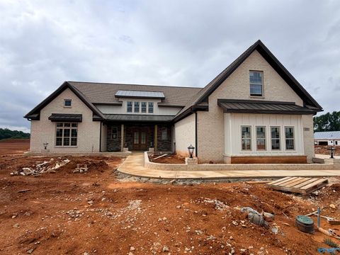 Homes For Sale - 111 Josie Loop Trail<br/> Toney, AL 35773
