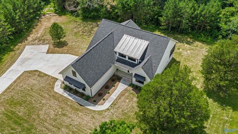 Homes For Sale - 5006 Big Wills Road<br/> Fort Payne, AL 35967