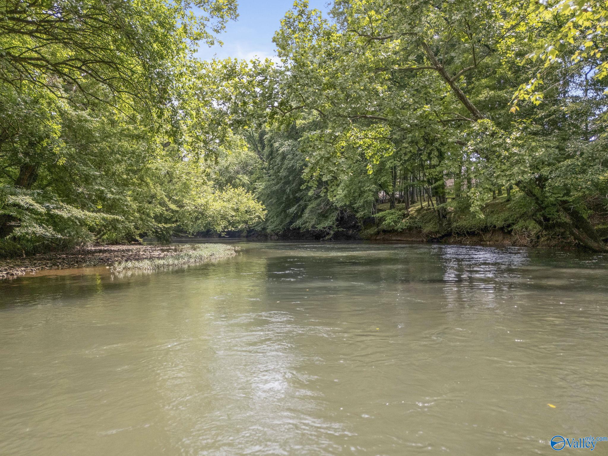 141 Riverwalk Trail, New Market, Alabama image 29