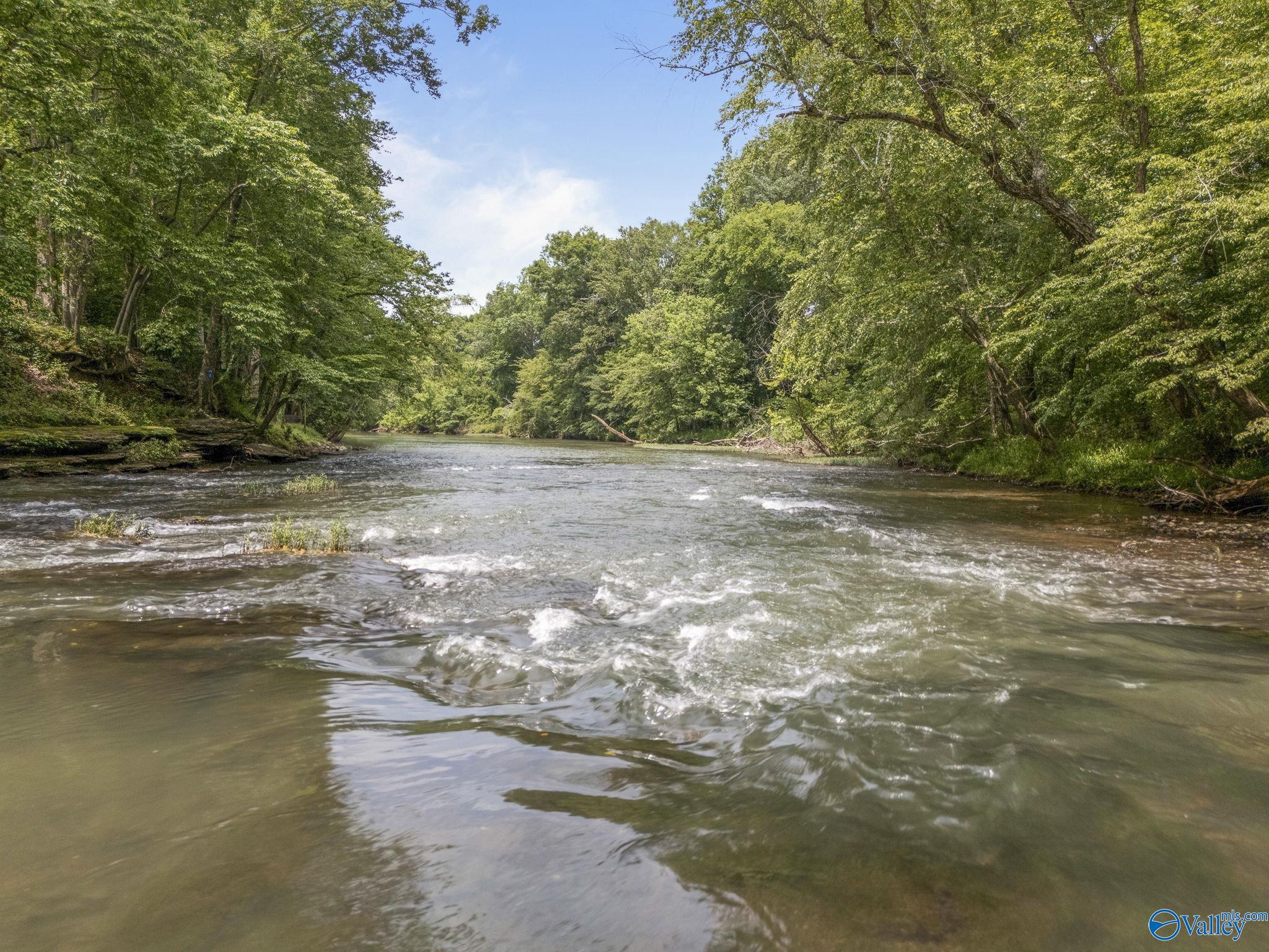 141 Riverwalk Trail, New Market, Alabama image 5