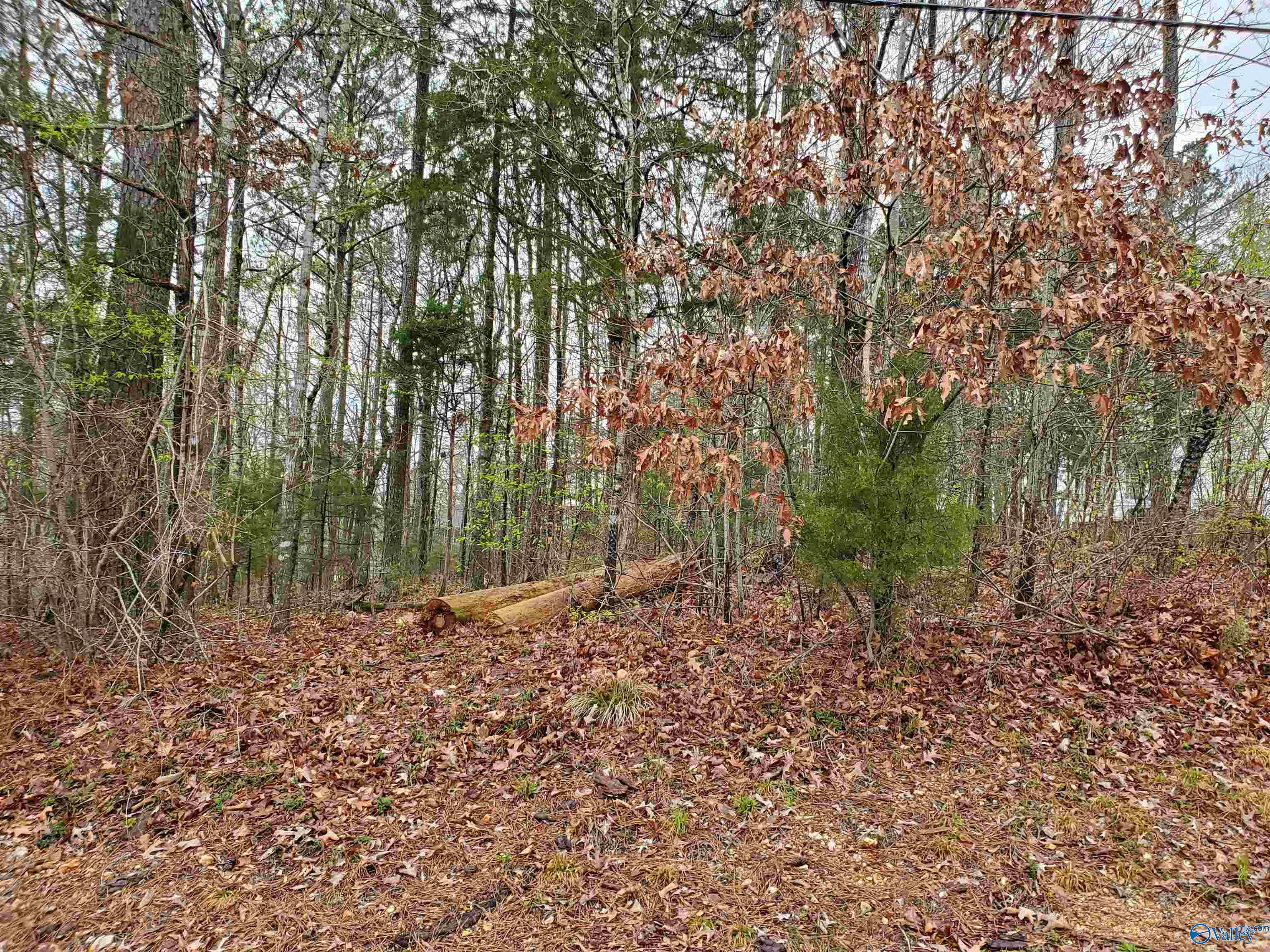 Lot 72 Hillcrest Drive, Scottsboro, Alabama image 1