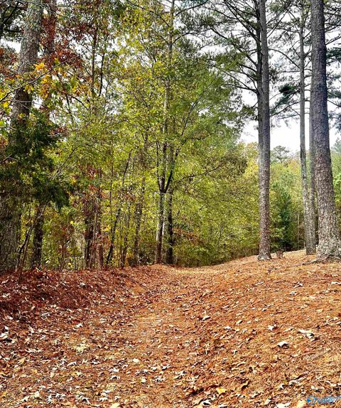Vacant Land For Sale - 6408 Trussville Clay Road<br/> Trussville, AL 35173