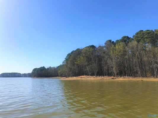 LOT 19 LITTLE RIVER LANDING, CEDAR BLUFF, AL 35959 - Image 95e5075c959cb5ebb5a0ef5e0b58d167/1032547914