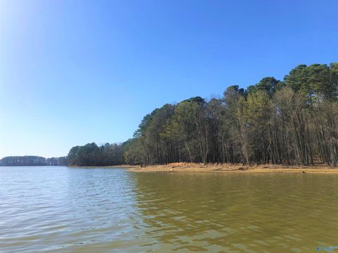 Vacant Land For Sale - LOT 19 Little River Landing<br/> Cherokee County, Cedar Bluff, AL 35959