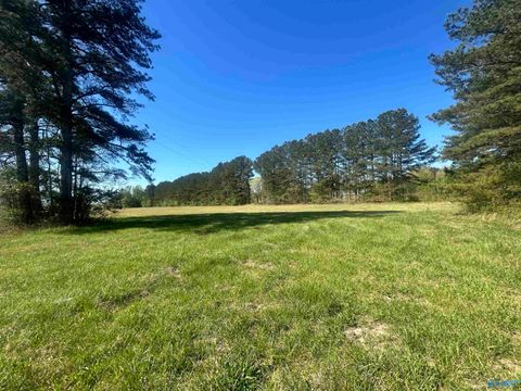 Vacant Land For Sale - .97 Brock Road<br/> Ardmore, AL 35739