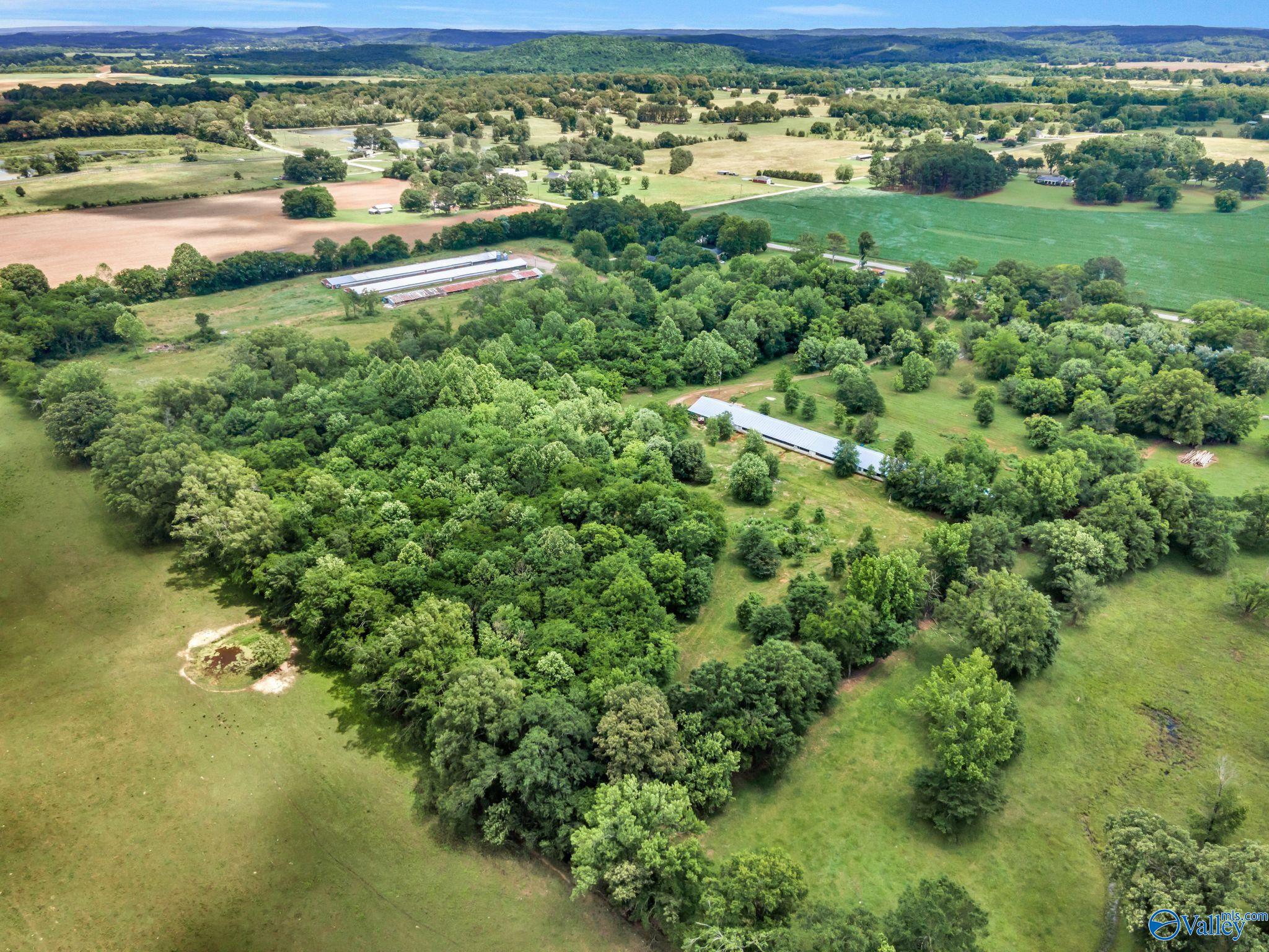 3621 Al Hwy 36, Moulton, Alabama image 47
