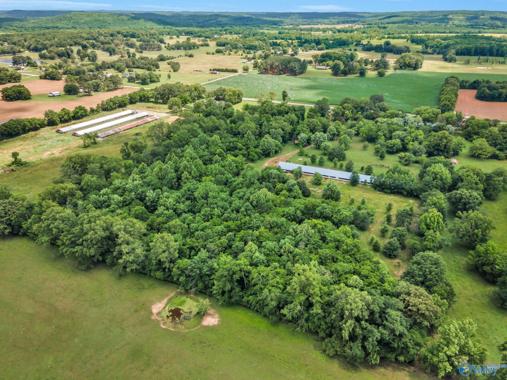 3621 Al Hwy 36, Moulton, Alabama image 46