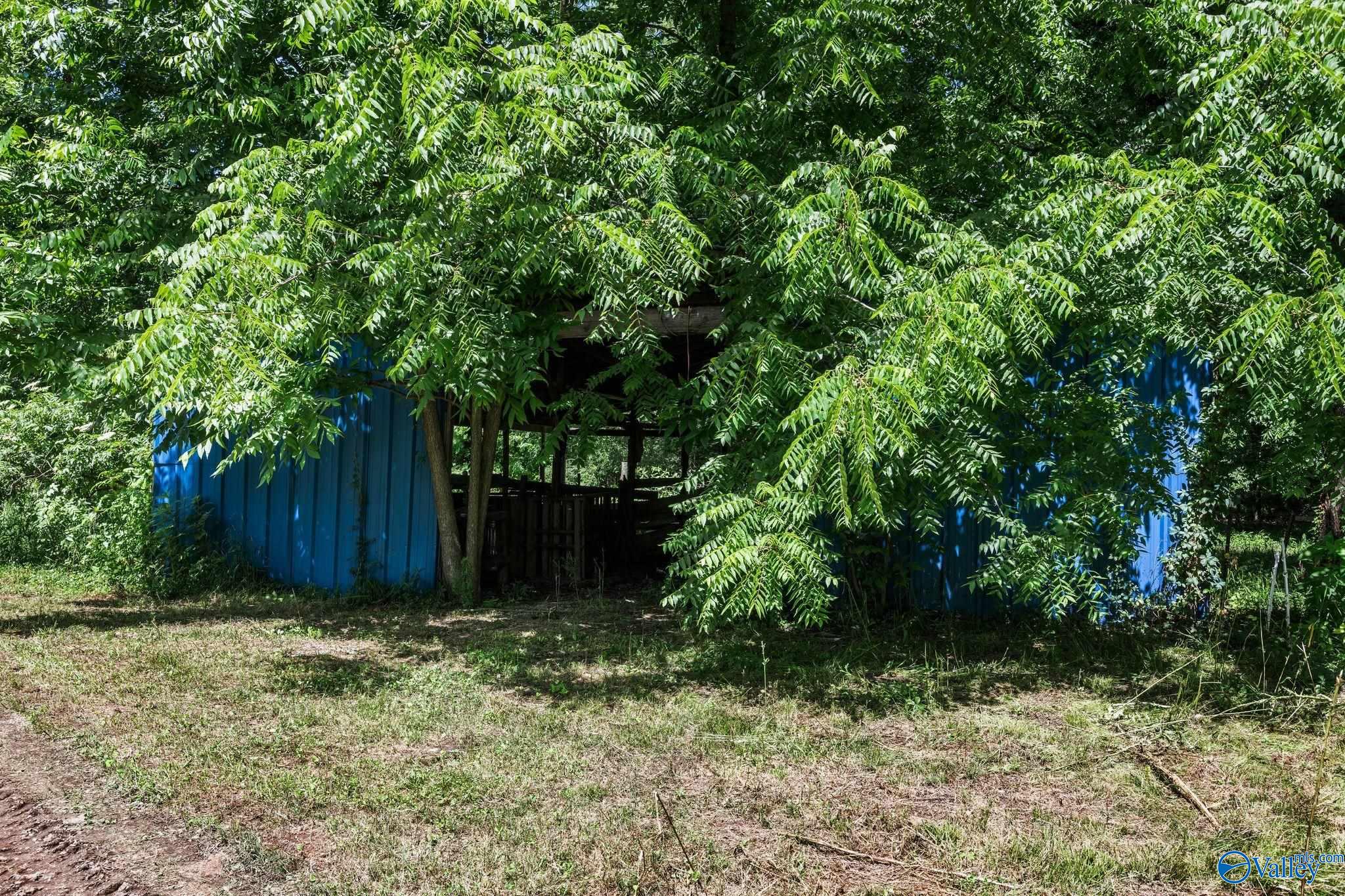 3621 Al Hwy 36, Moulton, Alabama image 33
