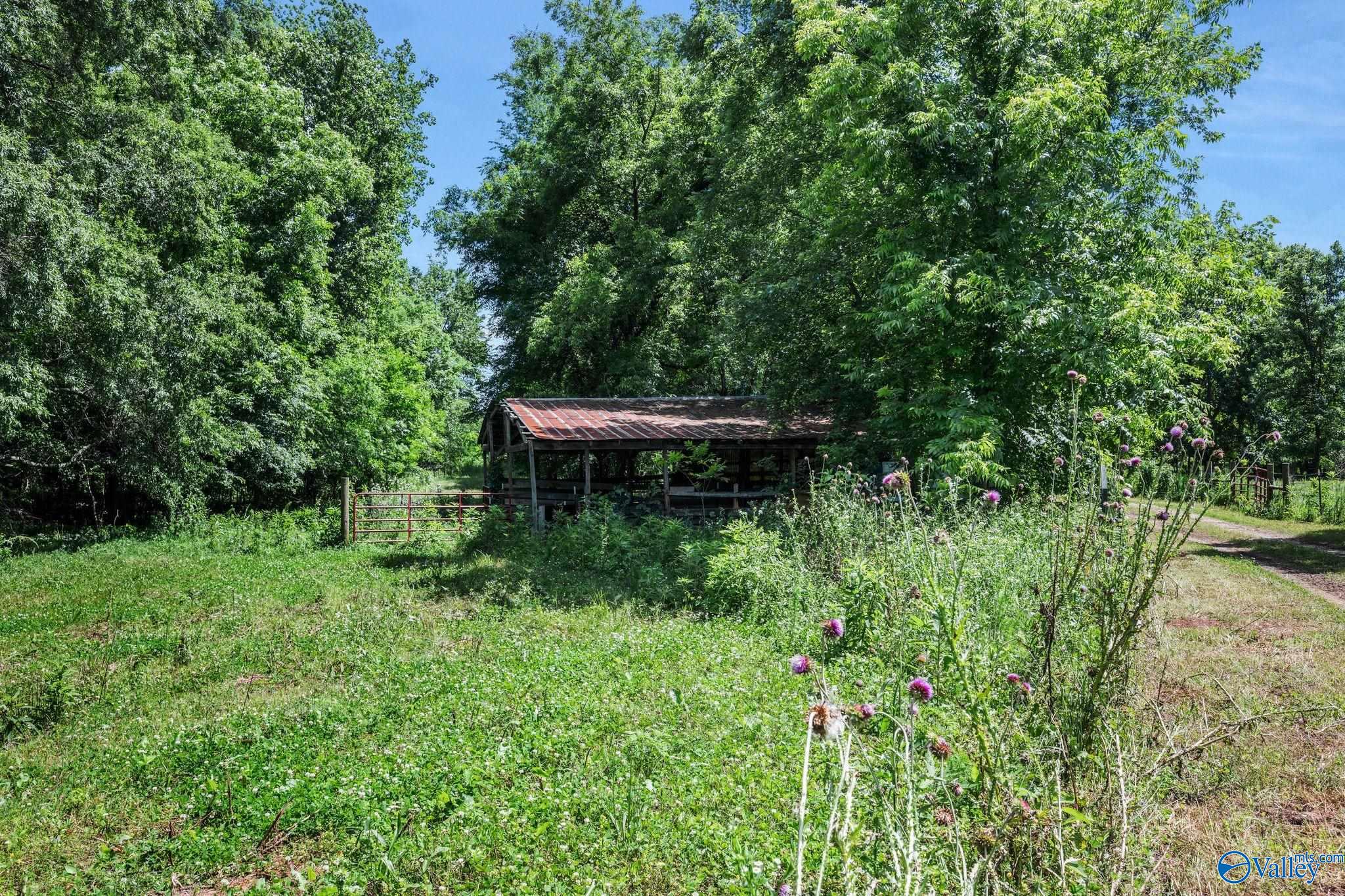 3621 Al Hwy 36, Moulton, Alabama image 32
