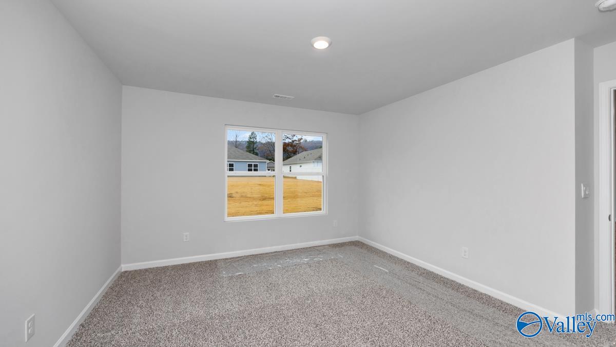 9900 Sequoyah Cove Drive, Owens Cross Roads, Alabama image 18