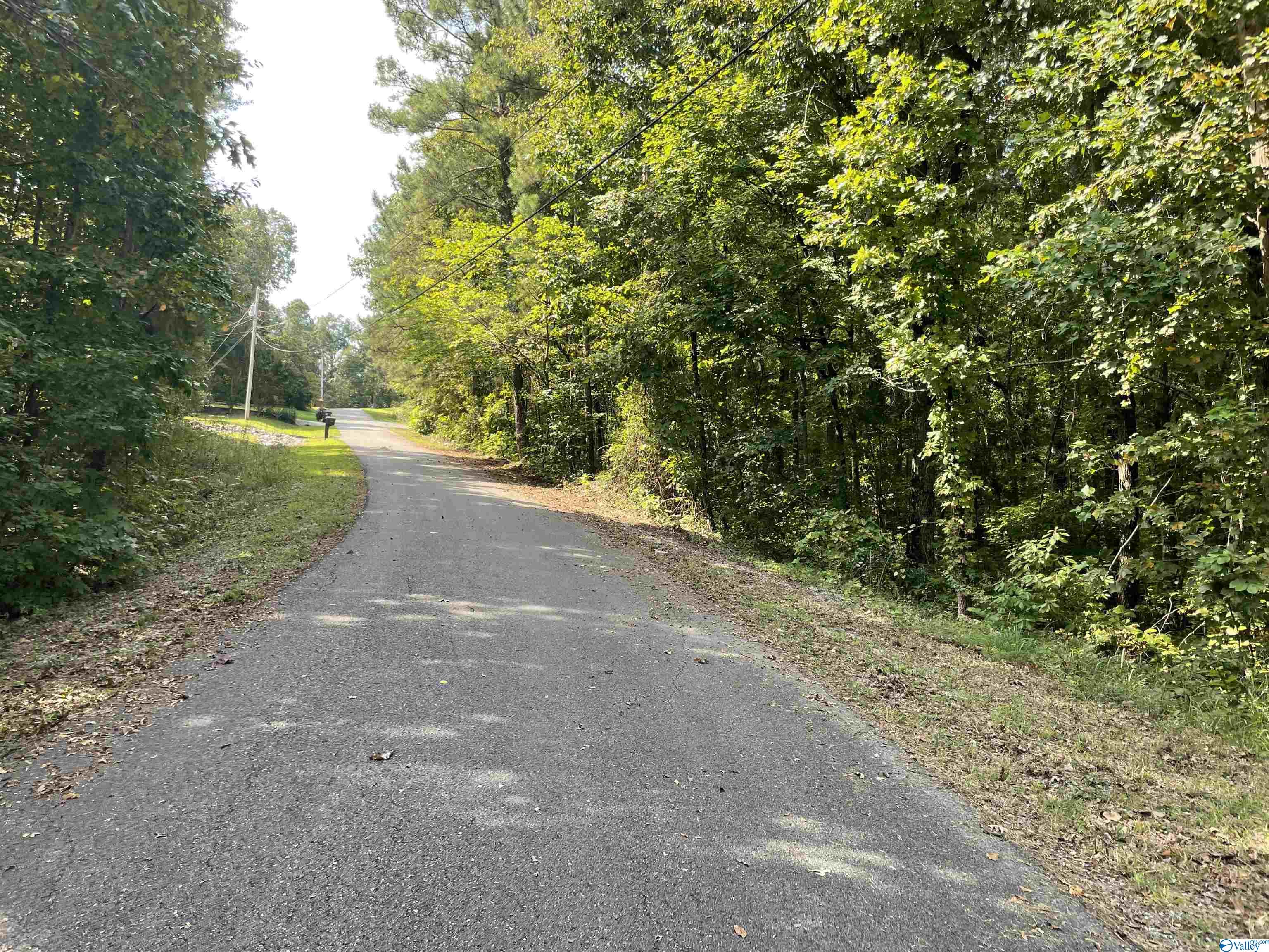 0.53 +/- Acres Mountain Top Road, Southside, Alabama image 1